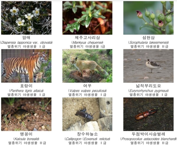 자생생물 8,000종 유전자 정보 공개…