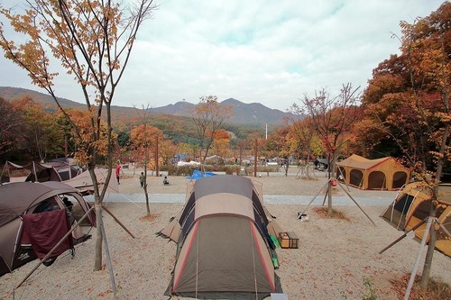 초막골생태공원 느티나무야영장/문화체육관광부 제공