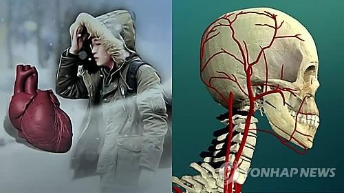 환절기 큰 기온 차는 혈압 상승과 혈관 수축을 유발해 심근경색·뇌졸중 등 심뇌혈관질환 위험을 높입니다. 왼쪽은 추위에 노출된 사람과 심장 이미지, 오른쪽은 뇌혈관 구조를 보여줍니다.