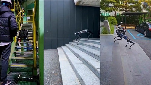 레인보우로보틱스 AI 4족보행 로봇 RBQ 시리즈