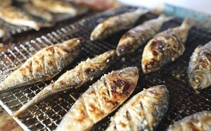 "더위에 잃은 입맛, 대하·전어로 회복"…보령서 12∼28일 축제