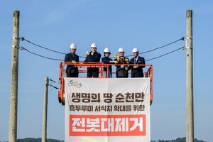 "흑두루미, 전선에 걸릴라"…순천만서 전봇대 철거 시연