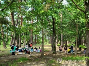 청주시, 내년 11월까지 SK로 3㎞ 구간에 도시숲 조성