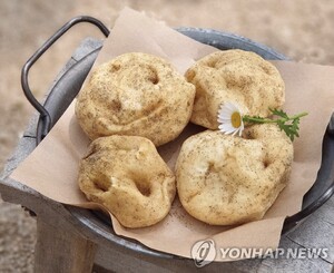 춘천 명물 '감자빵' 창업한 전 대표…상표권 침해로 벌금형